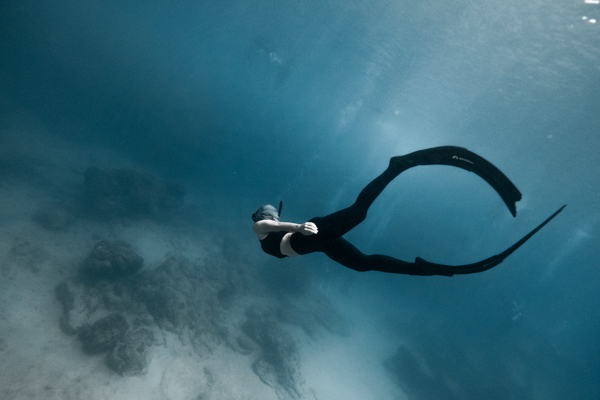 Pool 升等 Freediver 泳池升等開放水域初階