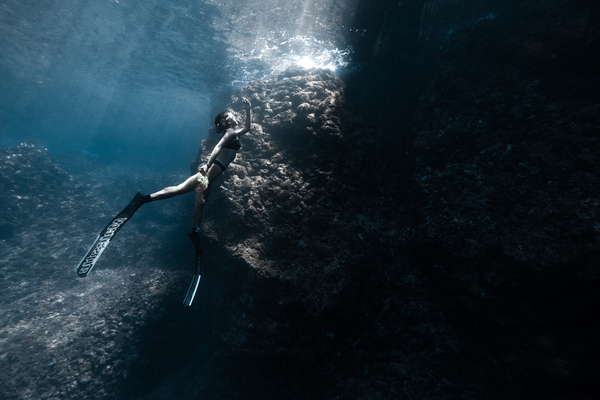 Freediver 初階開放水域自由潛水