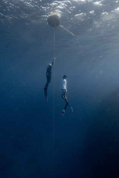 Advanced Freediver 中階開放水域自由潛水