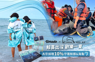 救援『三要四不』，拯救更多鯨豚生命！