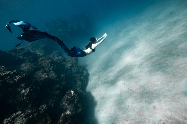 Ocean Mermaid 海洋人魚