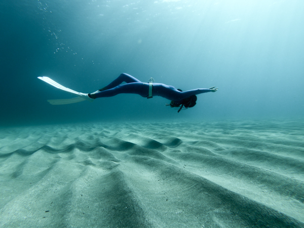 Basic 升等Freediver 進階體驗升等開放水域初階